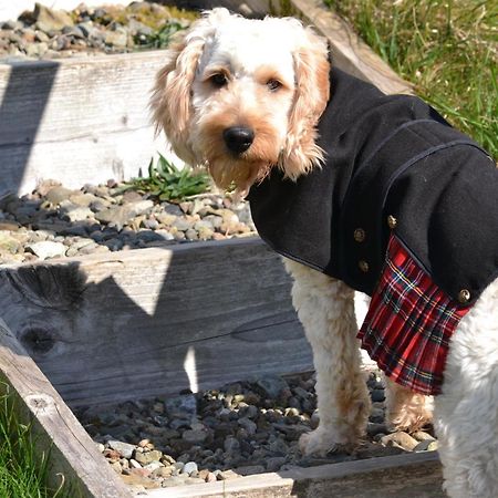 Burnbank Bnb Tobermory Eksteriør billede