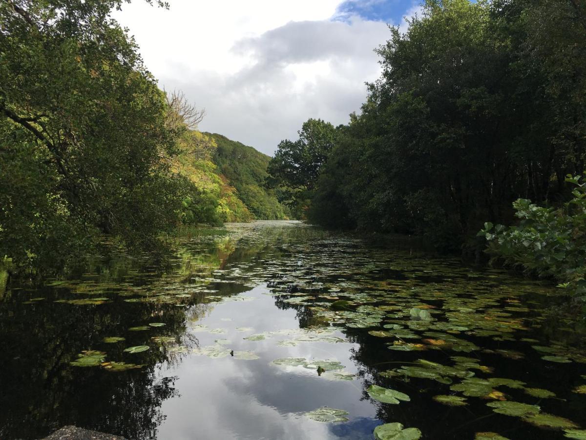 Burnbank Bnb Tobermory Eksteriør billede