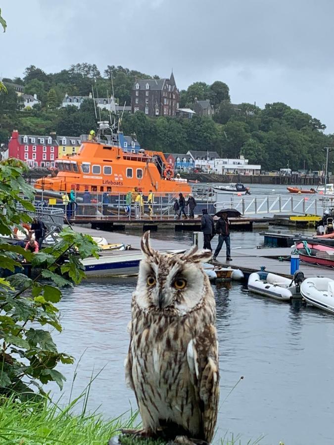 Burnbank Bnb Tobermory Eksteriør billede